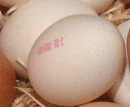 RLV: Keine akute Gesundheitsgefahr bei Dioxin-Eiern