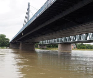 Rhein Hochwasser Januar 2018