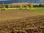 Rheinland-Pfalz: Bodenordnungsverfahren in einzelnen Gemeinden eingeleitet