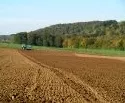 Rheinland-Pfalz: Pachtpreise fr landwirtschaftliche Flchen auf Hchststand