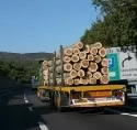 Rohholztransport