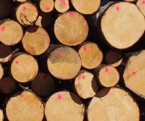 Rohstoffpreise Holz