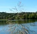 SPD-Fraktion verlangt bertragung von bundeseigenen Seen an neue Lnder