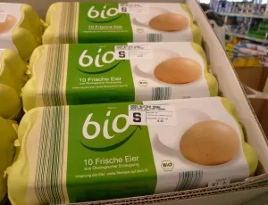 Salmonellenwarnung Bio-Eier