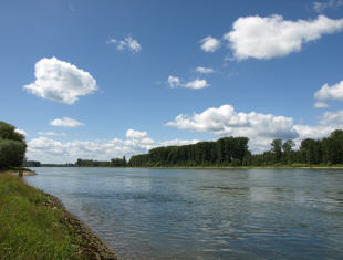Sauberkeit des Rheins im Visier