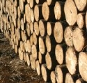 Schwedens Holzexport weiter hoch