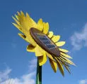 Solar-Sonnenblume 