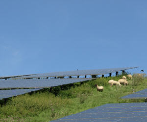 Solaranlage Agrarflche