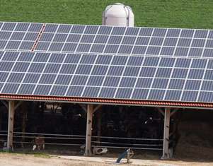 Solarbranche in der Krise
