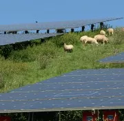 Solarenergie und Landwirtschaft
