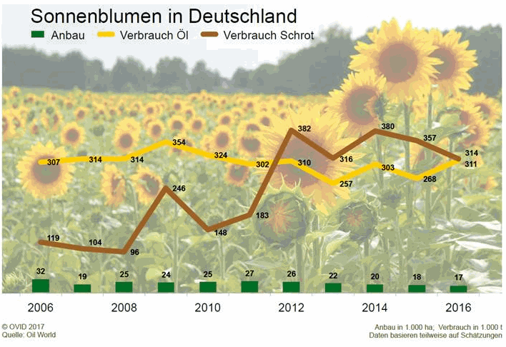 Sonnenblumen: Anbau Deutschland