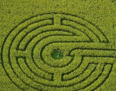 Sonnenblumen-Labyrinth