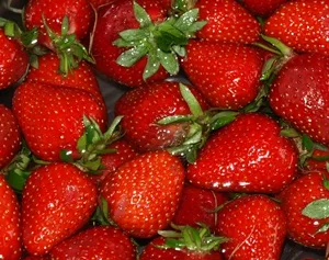 Spanische Erdbeeren