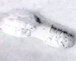 Spur im Schnee