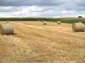 Staatliche Subvetionen fr Landwirtschaftsbetriebe in der Ukraine