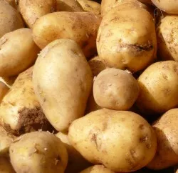 Strkekartoffeln