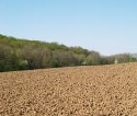 Statistik: Flche fr Land- und Forstwirte schrumpft