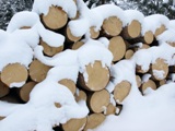 Steigende Nachfrage nach Brennholz in Thringen 