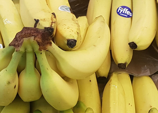 TR4-Resistenz Banane