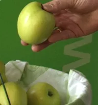 Tag des Apfels