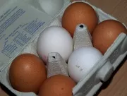Tag des Eies
