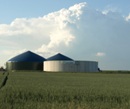 Tagung Biogas: Alternativen zu Mais 