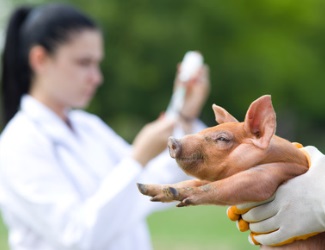 Tierarzneimittelgesetz