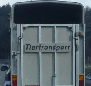 Tiertransport