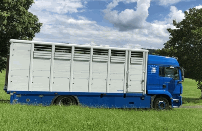 Tiertransporte in Drittstaaten