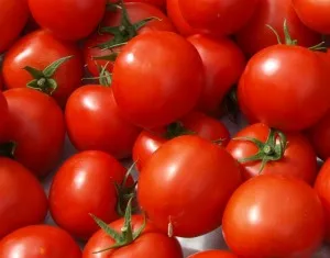 Tomaten: Inhaltsstoffe + Lagerung
