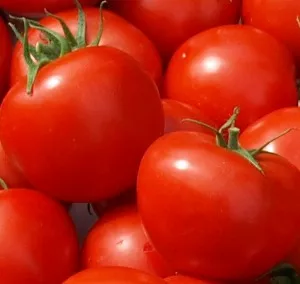 Tomaten aus dem Weltall