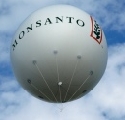 US-Agrarkonzern Monsanto profitiert von hohen Lebensmittelpreisen 