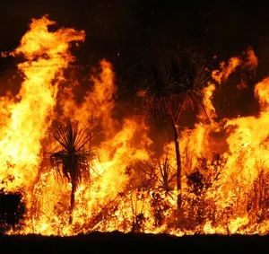 Verheerende Waldbrnde Brasilien 2020