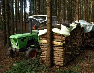 Waldbewirtschaftung