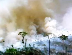 Waldbrnde Pantanal Oktober 2020