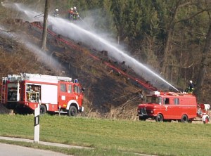 Waldbrand in Brandenburg
