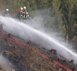 Waldbrandgefahr in Deutschland