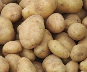 Warenterminbörse für Kartoffeln