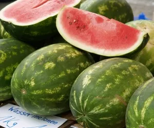 Wassermelonenanbau Niedersachsen