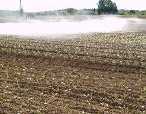 Wassernutzung in der Landwirtschaft