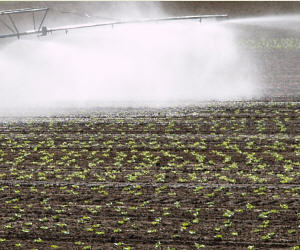 Wasserverbrauch Landwirtschaft