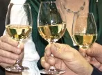 Weinwettbewerb best of riesling 