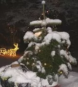 Wetter Weihnachten 2010