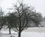 Wetter in Deutschland 04.01.2011