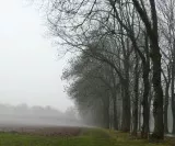Wetter in Deutschland 06.01.2011
