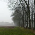 Wetter in Deutschland 09.11.2011