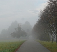 Wetter in Deutschland 18.11.2011