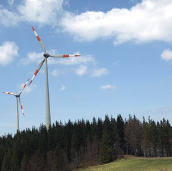 Windkraft im Wald 