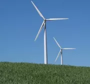 Windkraftanlage - kann Fledermusen zum Verhngnis werden