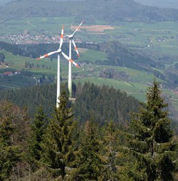 Windkraftausbau und Naturschutz